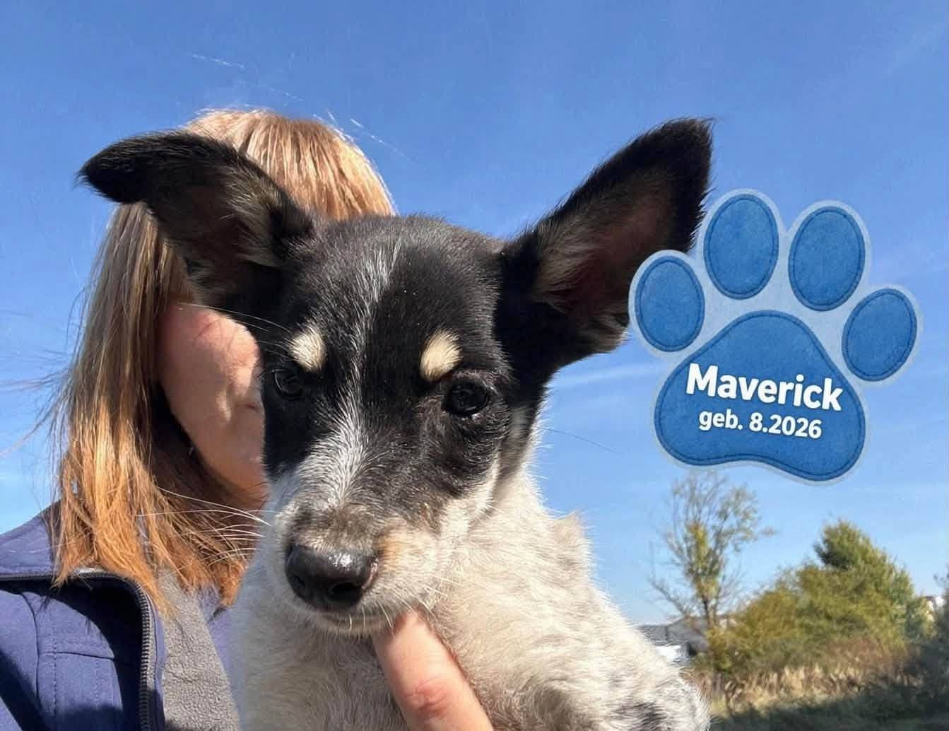 Maverick